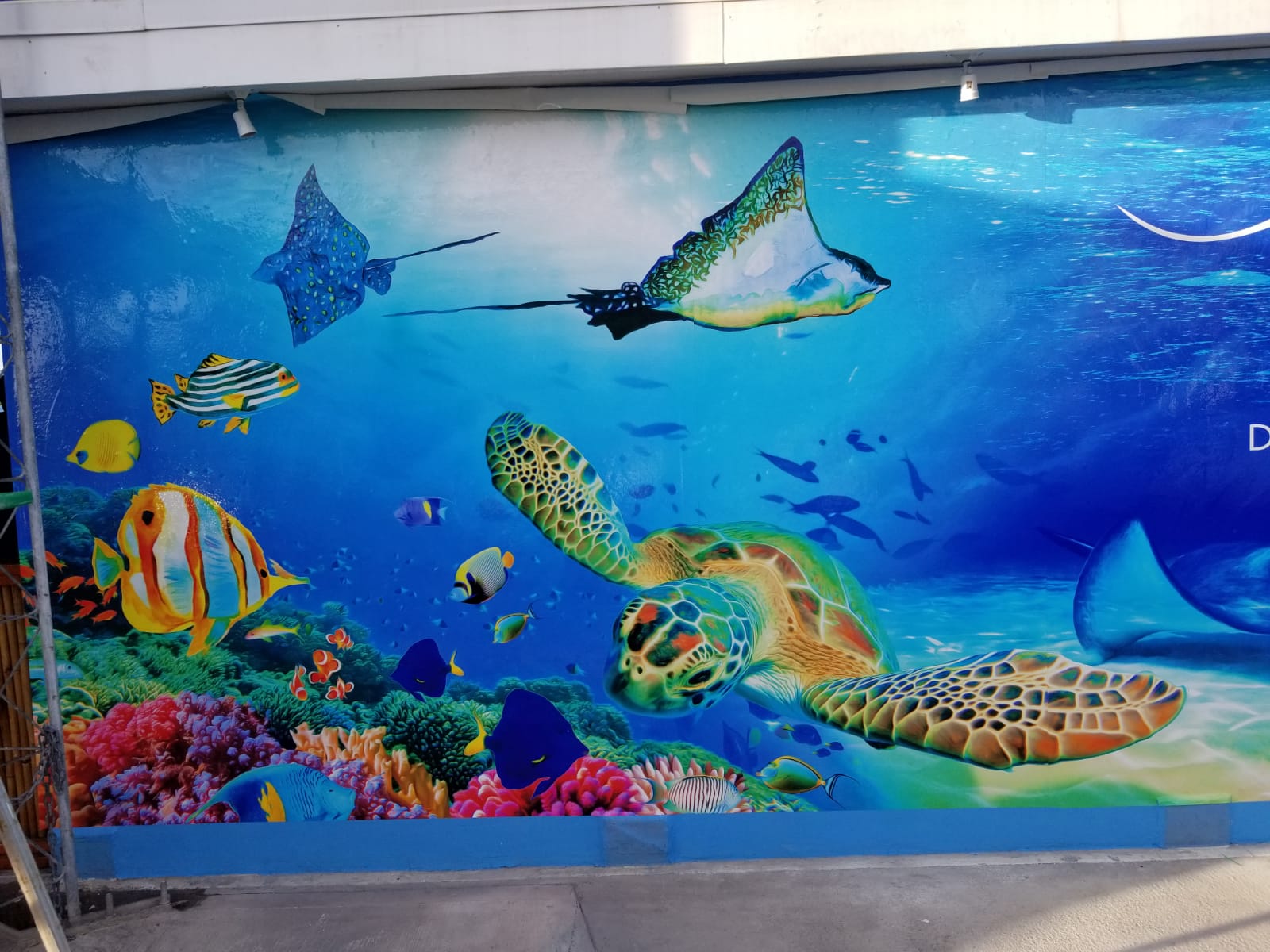 Large-format wall graphics